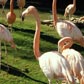 Cleveland Metroparks Zoo